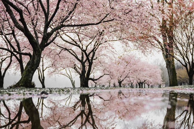 builder-copy-writing-example-02