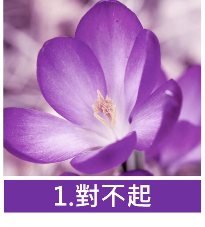 對不起