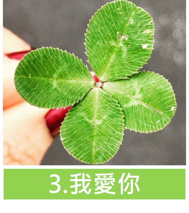 我愛你