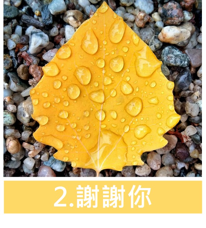 謝謝你